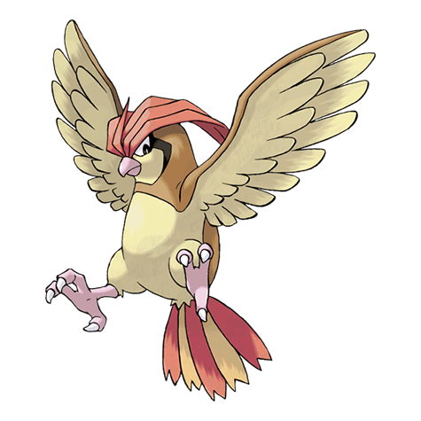 pokemon-pidgeotto