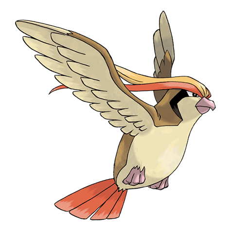 pokemon-pidgeot