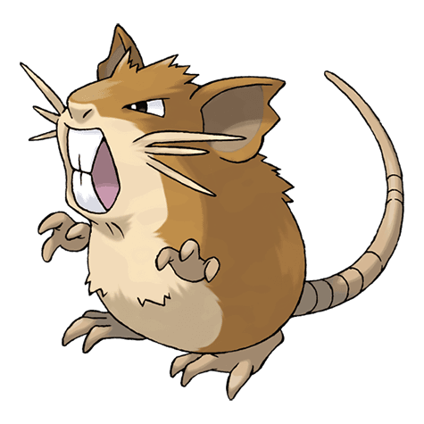 pokemon-raticate