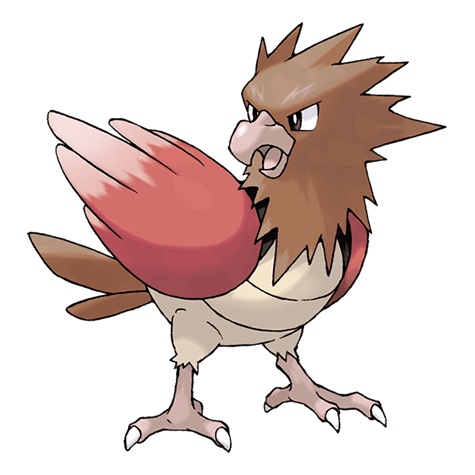 pokemon-spearow